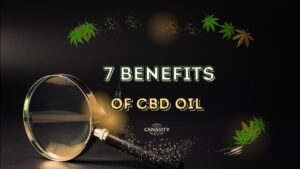 A bottle of CBD oil in a natural setting, surrounded by icons symbolizing its various uses (sleep, pain, anxiety).
