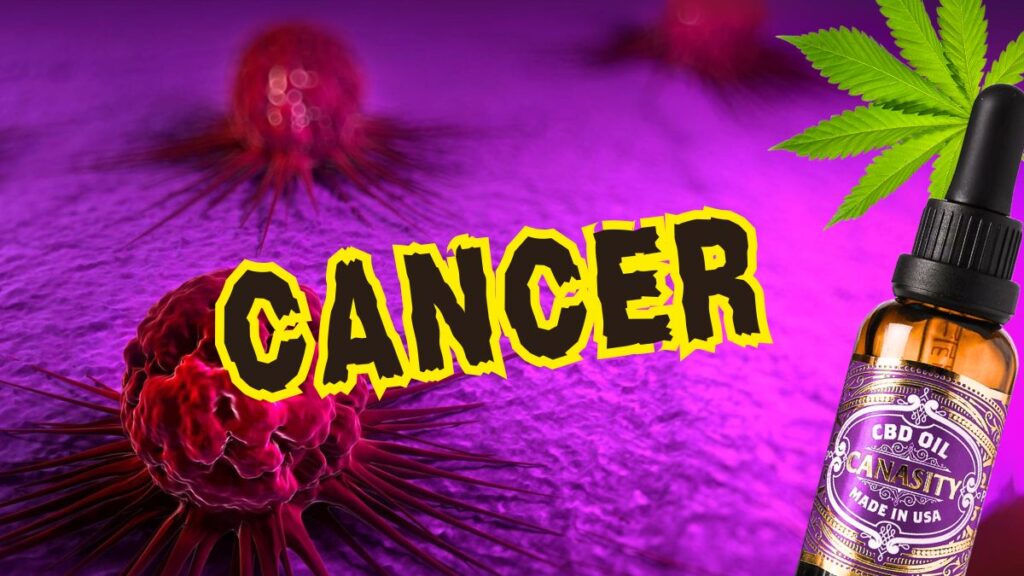 CBD OIL’S FIGHT WITH CANCER: WHAT DOES SCIENCE SAY AND HOW DOES IT REALLY HELP?